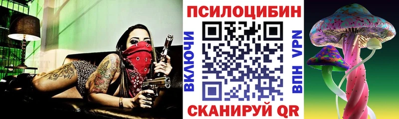 Псилоцибиновые грибы Psilocybine cubensis  Санкт-Петербург 